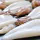 Кальмары в сметане – сочное блюдо из моллюсков
