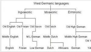 Германская ветвь в индоевропейской семье языков